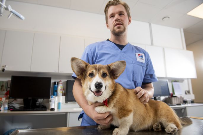 Floki un veterinārārsts Gusts Indāns