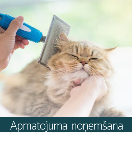 Apmatojuma noņemšana mājdzīvniekiem