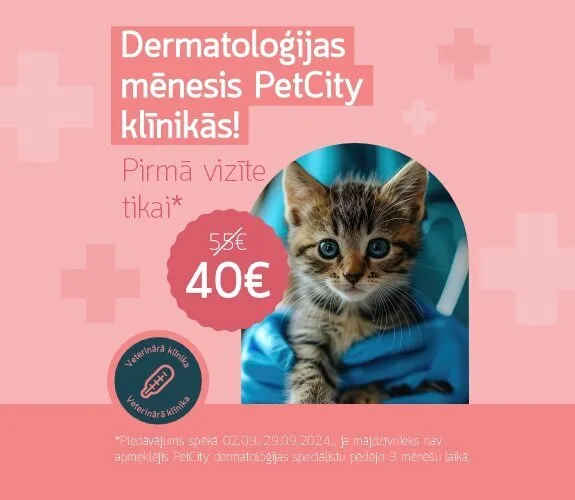Dermatoloģijas mēnesis PetCity klīnikās - pirmā vizīte tikai 40 EUR