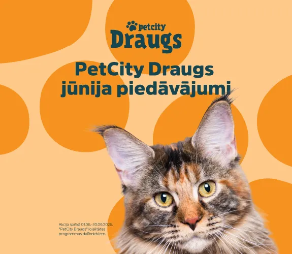 PetCity Draugs jūnija piedāvājumi