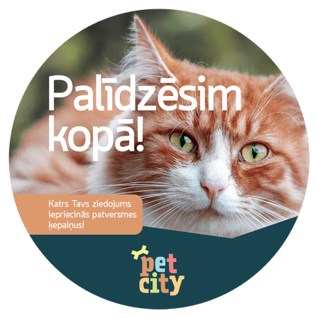 PetCity kopā ar Hill's iepriecina ķepaiņus dzīvnieku patversmēs