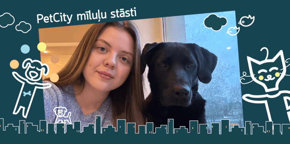 PetCity mīluļu stāsti: Brie