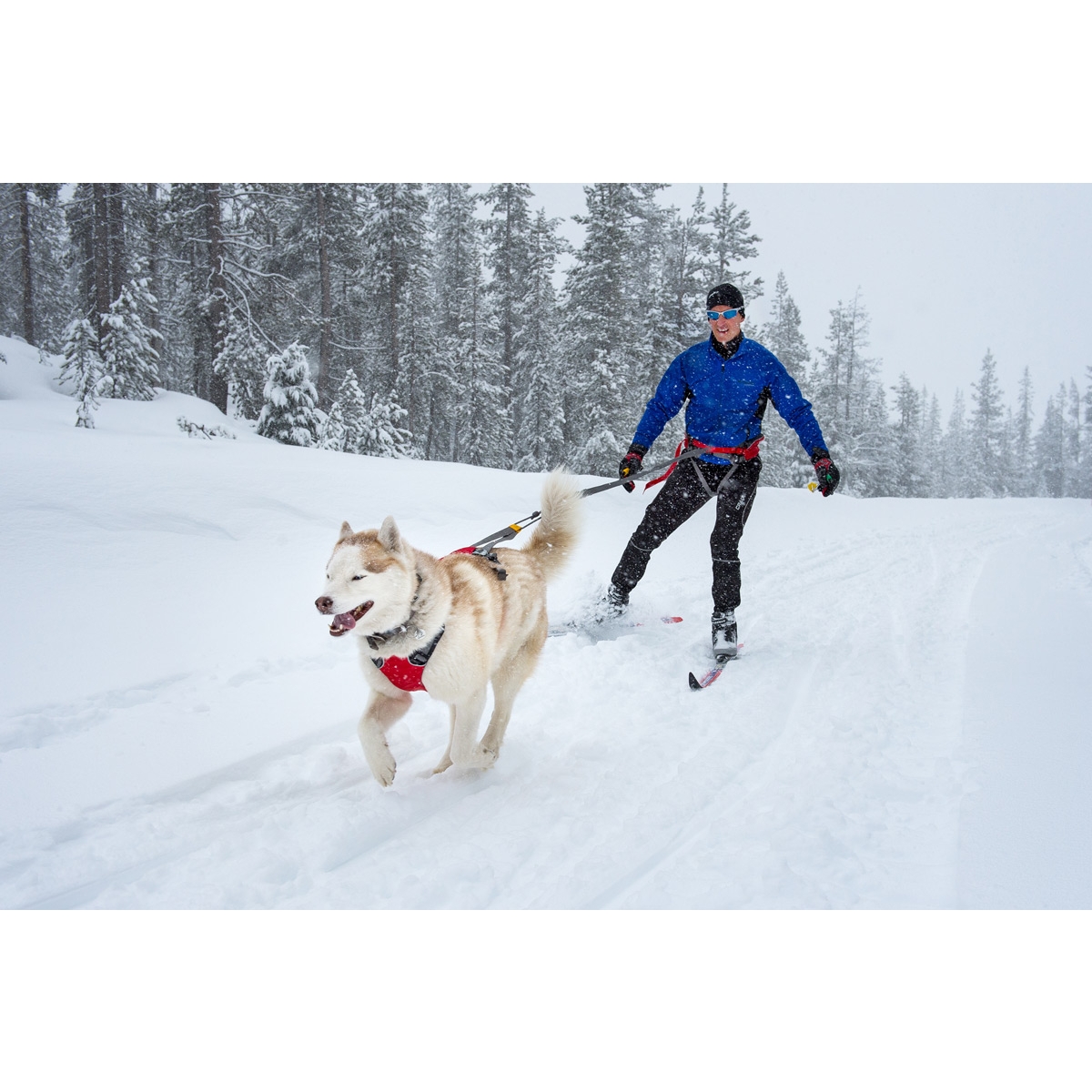 Ruffwear Omnijore iemaukti sarkana M - Produkta attēls