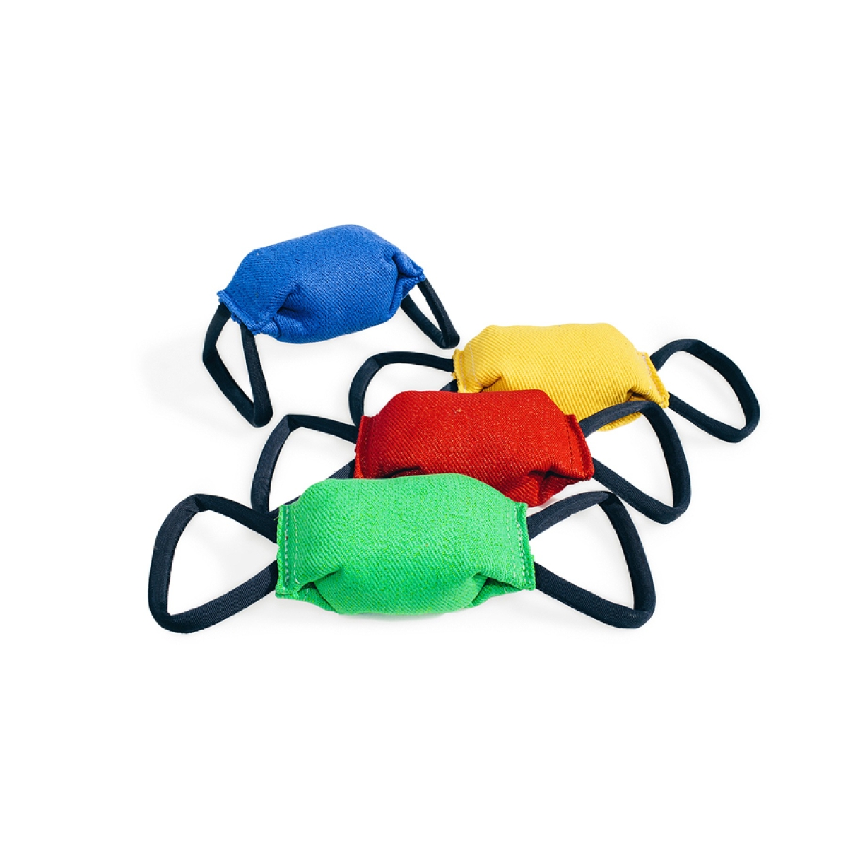 Dogpride RUGBY treniņbumba, 25 cm - Produkta attēls