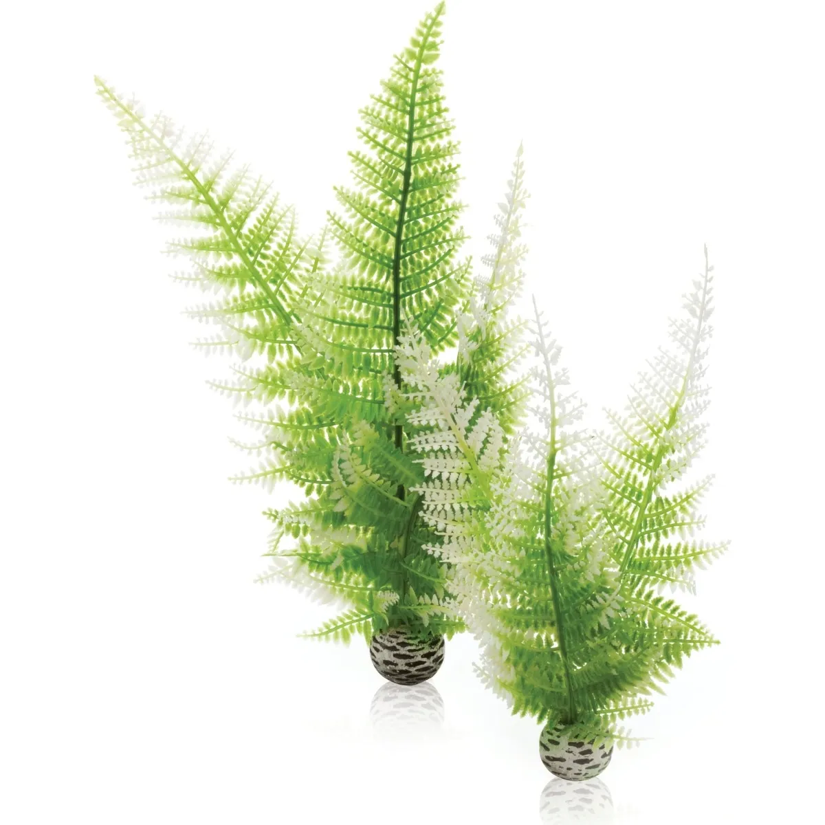 Oase Biorbaquatic Wintern Fern Set 2 - Produkta attēls