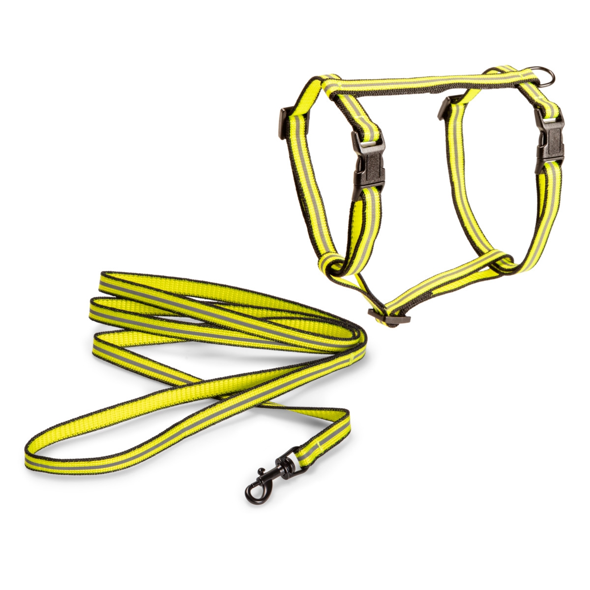 BASIC Reflection komplekts kaķiem, M, dzeltens - Produkta attēls