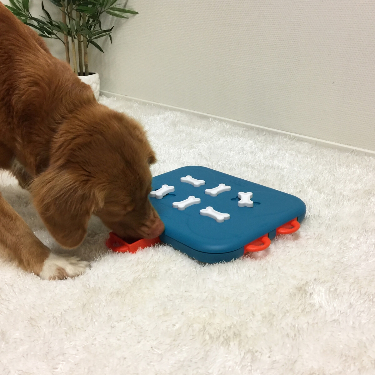 NINA OTTOSSON Casino interaktīvā rotaļlieta suņiem - Produkta attēls