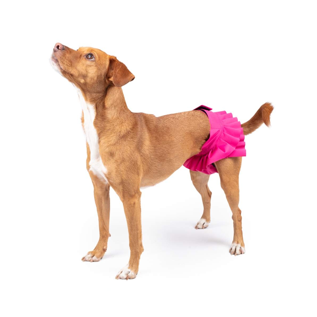 FINNERO Ballerina bikses meklēšanās laikā, XL, rozā - Produkta attēls