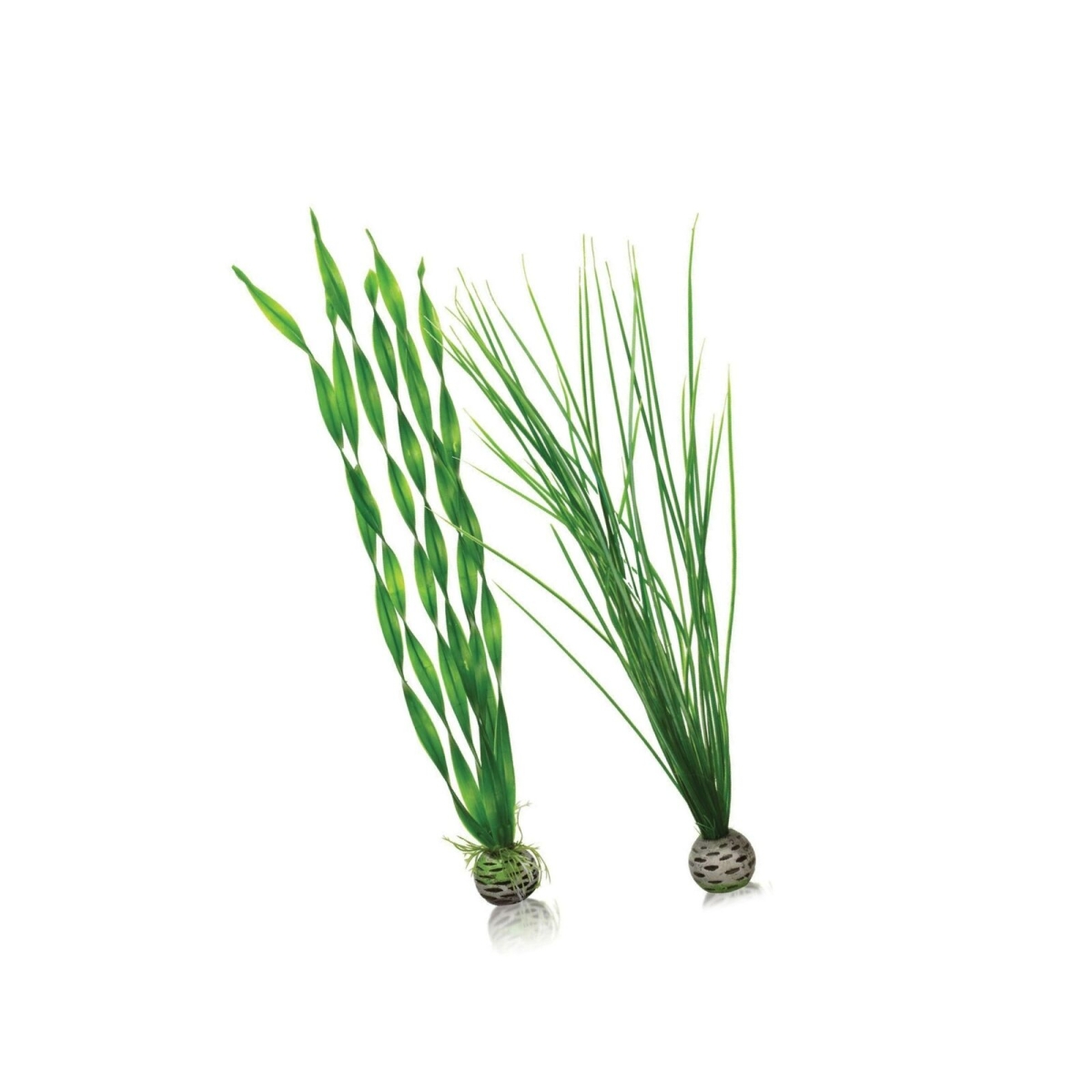 Oase Biorb Easy Plant Set L Green - Produkta attēls