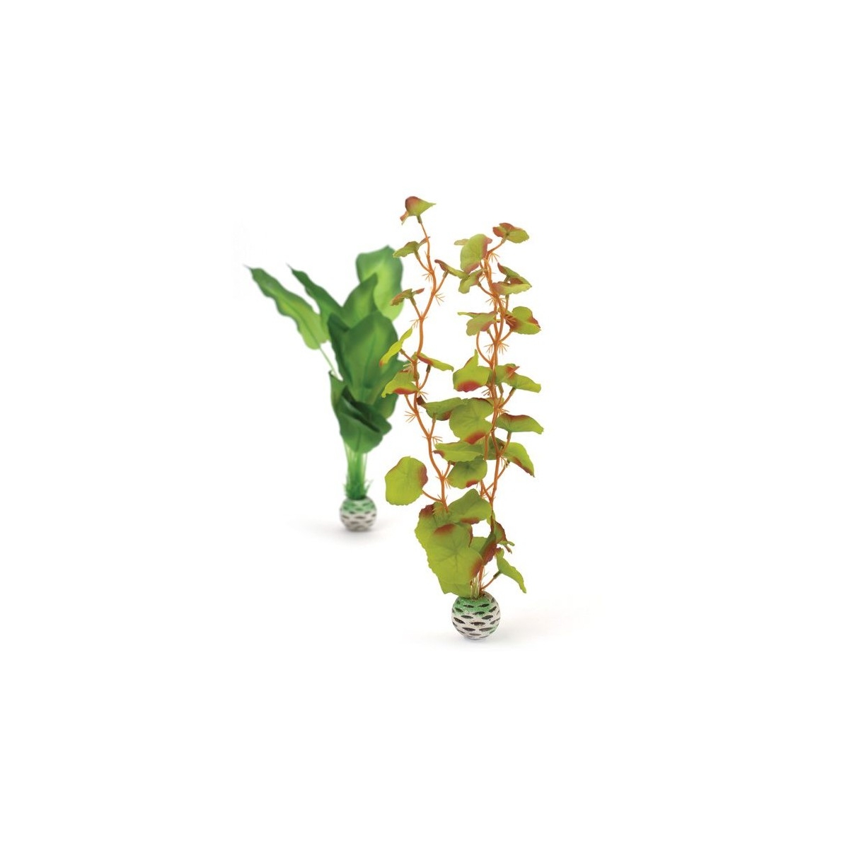 Oase Silk Plan set M Green - Produkta attēls