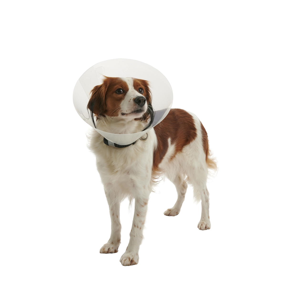 BUSTER Clic pēcoperācijas apkakle suņiem, 15cm - Produkta attēls
