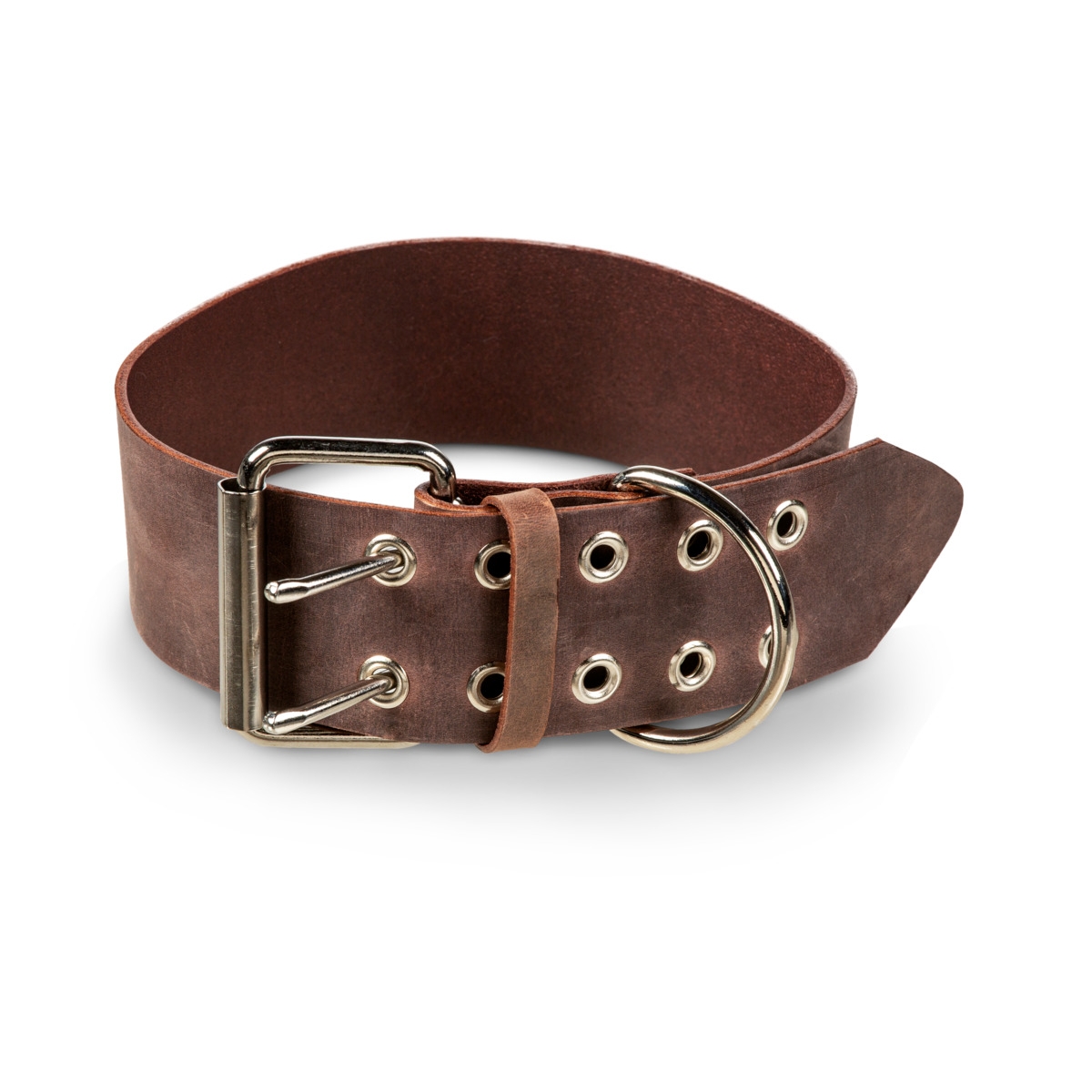 FEEL LEATHER Wide kakla siksna suņiem, 50-60cm, brūna - Produkta attēls