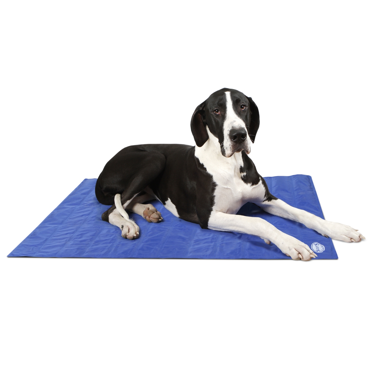SCRUFFS Cool Mat atvēsinošais paklājiņš, XL - Produkta attēls