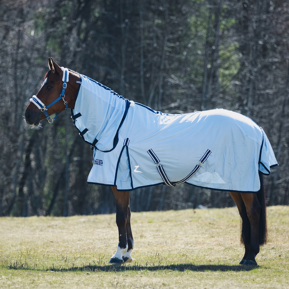 HORZE HOBUSE PUTUKATEKK FREJA 165CM HELESIN. - Produkta attēls