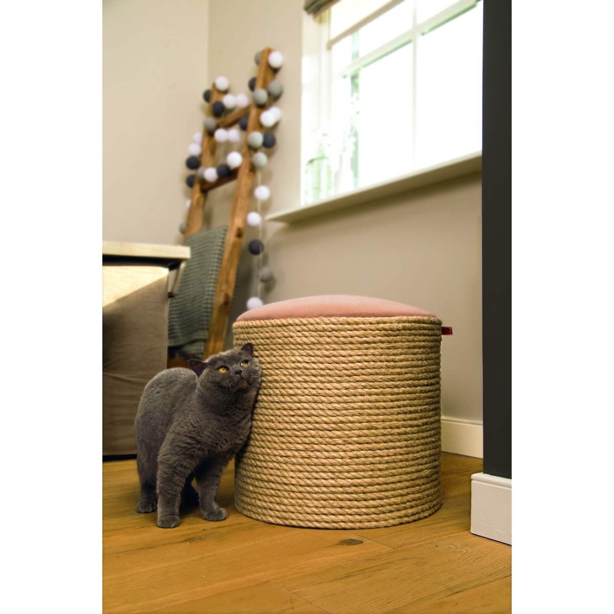 Beeztees DBL  Ambon rotaļu namiņs 2in1, 45 X 45 X 45 cm - Produkta attēls