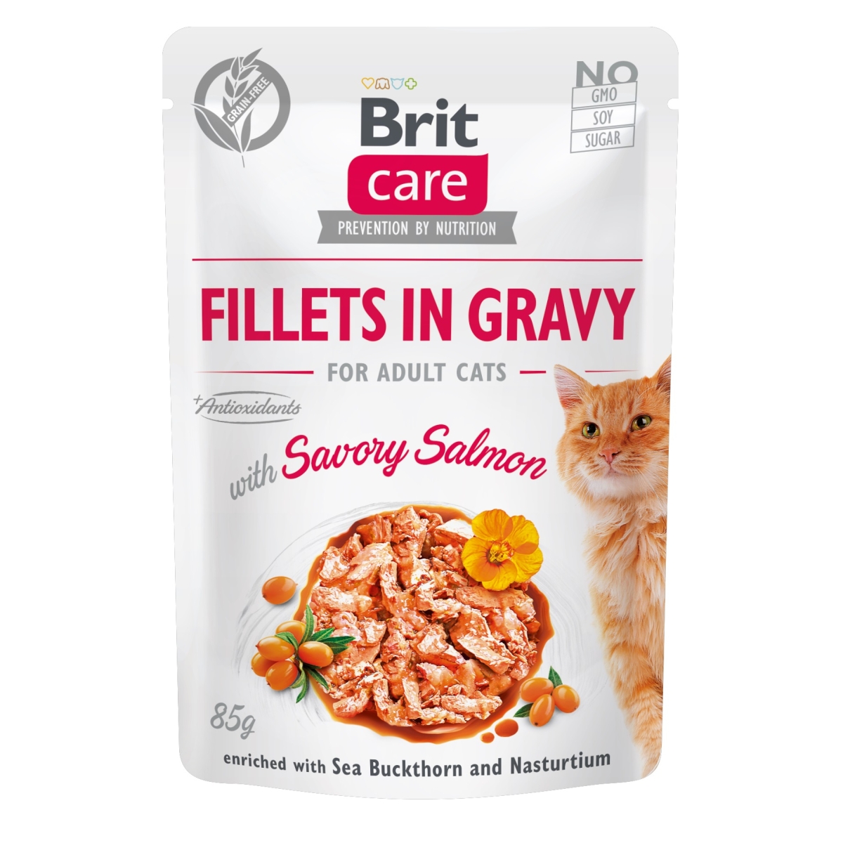BRIT CARE MITRĀ BARĪBA KAĶIEM, LASIS MĒRCĒ, 85g - Produkta attēls