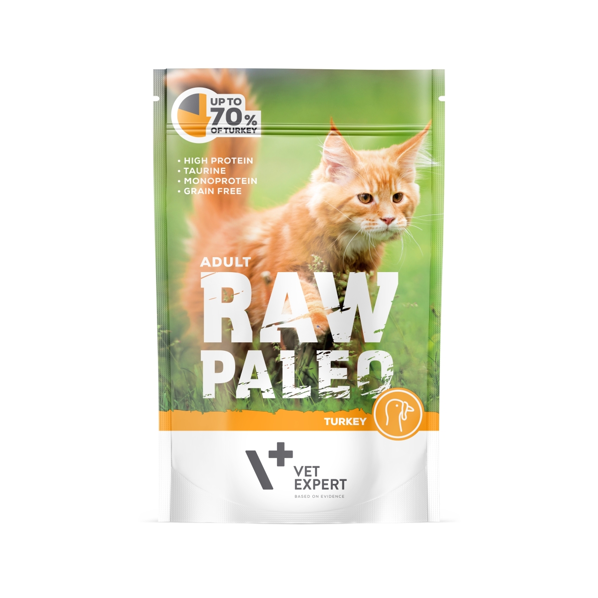 RAW PALEO mitrā barība kaķiem ar tītara gaļu, 100g - Produkta attēls