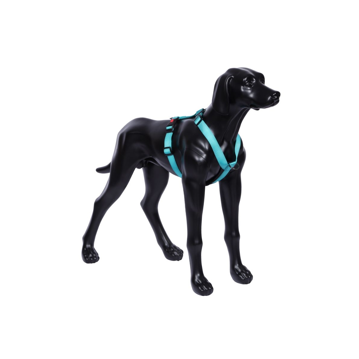 Rukka Form Polar krūšu siksna suņiem M 40 mm/65-105cm, tirkīza