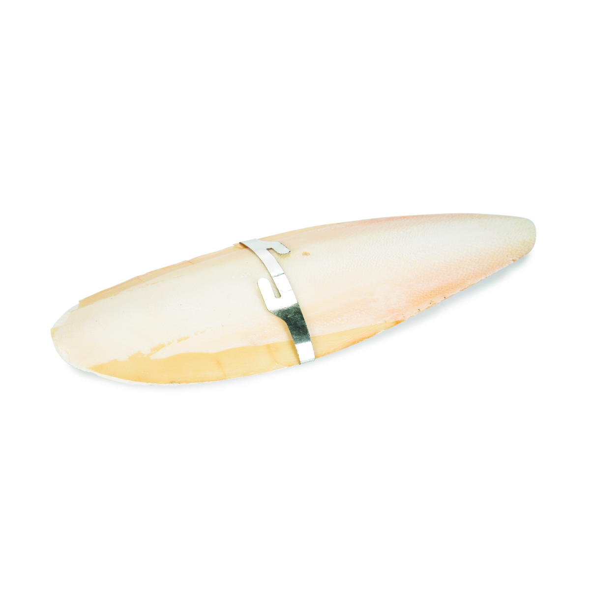 BEEZTEES Cuttlefish Bone minerālakmens putniem, 20 cm - Produkta attēls