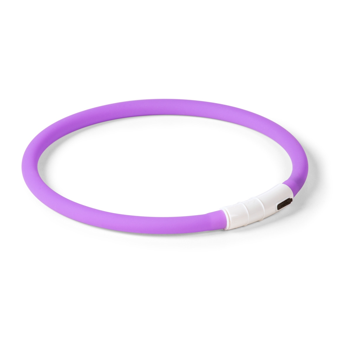 LITTLE & BIGGER LED kaklasiksna suņiem, violeta - Produkta attēls