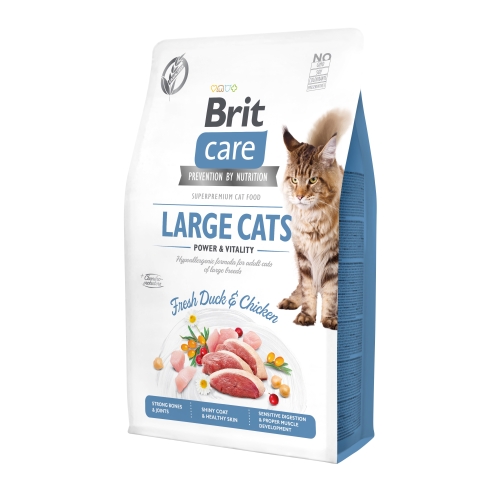 BRIT Care Large sausā barība kaķiem, pīle/vista, 2 kg