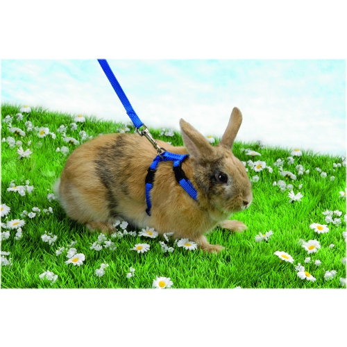 BEEZTEES krūšu siksna ar pavadu trušiem