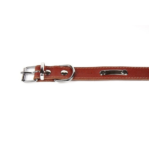 ONEGA ādas kakla siksna suņiem 22mmx35cm