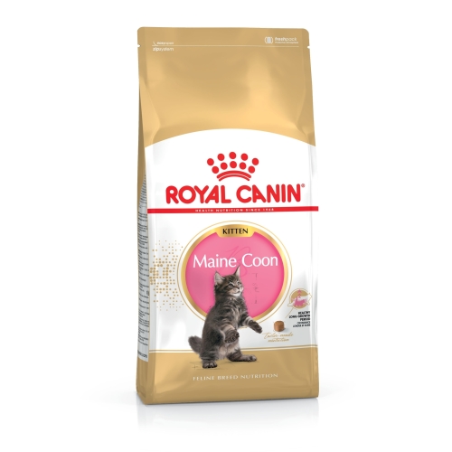 Royal Canin sausā barība Meinkūnu šķirnes kaķēniem, 2kg