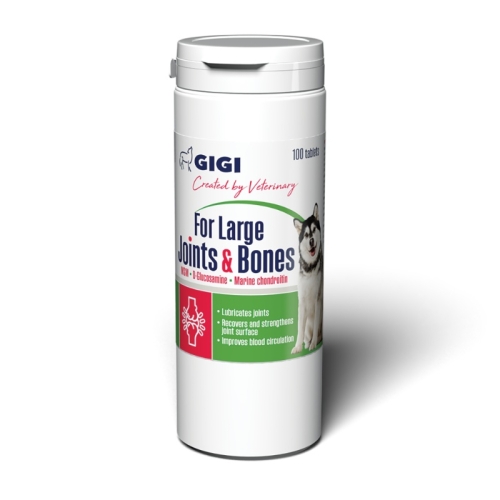 GIGI For Large Joints&Bones tab. N100