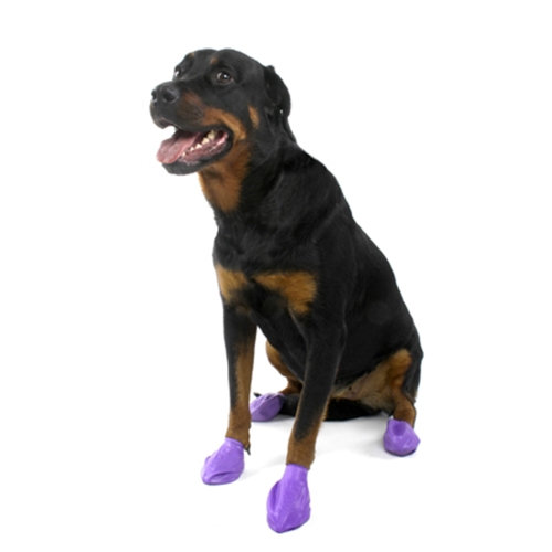 Pawz gumijas zeķes suņiem, M, zilas