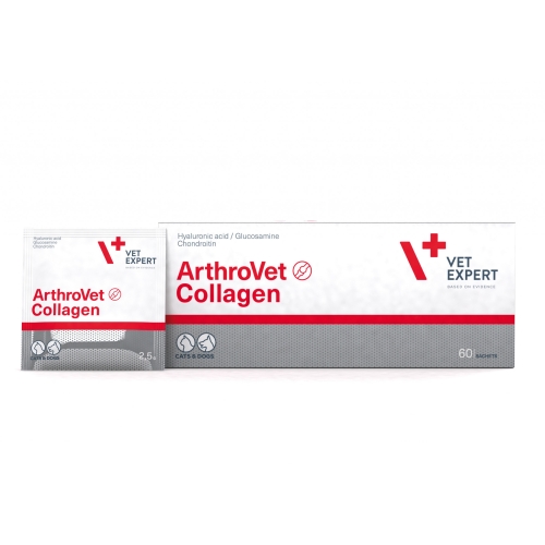 VetExpert ArthroVet Collagen pulveris suņiem/kaķiem, N60