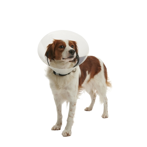 BUSTER Clic pēcoperācijas apkakle suņiem, 15cm