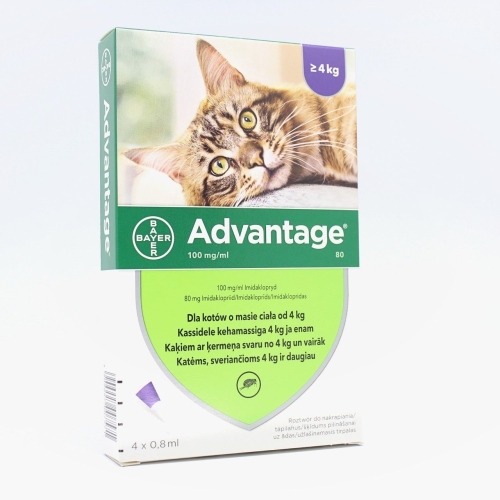 Advantage 80 mg šķīdums pret blusām kaķiem virs 4 kg 4 gab