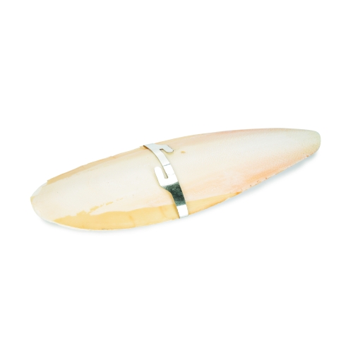 BEEZTEES Cuttlefish Bone minerālakmens putniem, 20 cm
