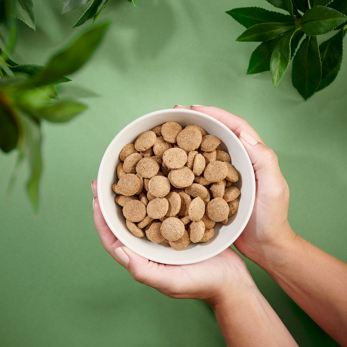 PURENATURAL Puppy Large sausā barība kucēniem, vista/lasis, 2kg - Produkta attēls 2
