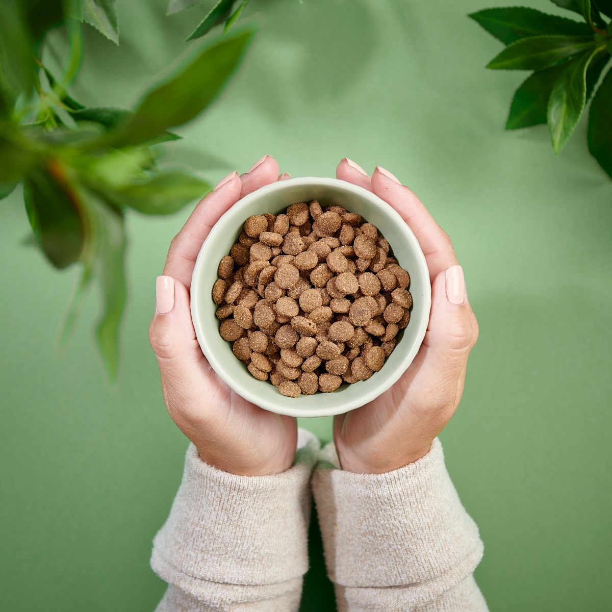 PURENATURAL sausā barība kaķiem, jērs, 2kg - Produkta attēls 2