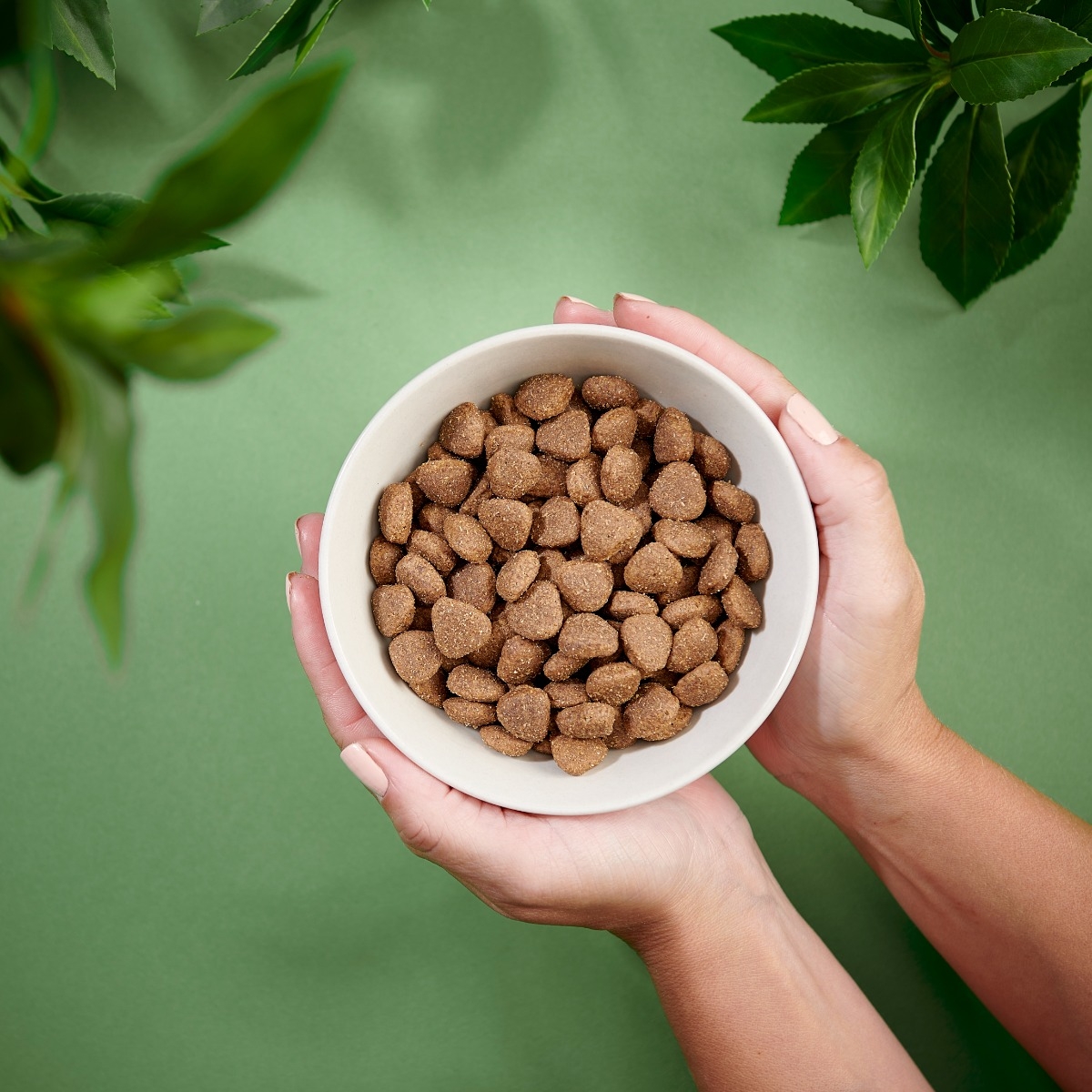 PURENATURAL Sensitive sausā barība suņiem, pīle, 2kg - Produkta attēls 2