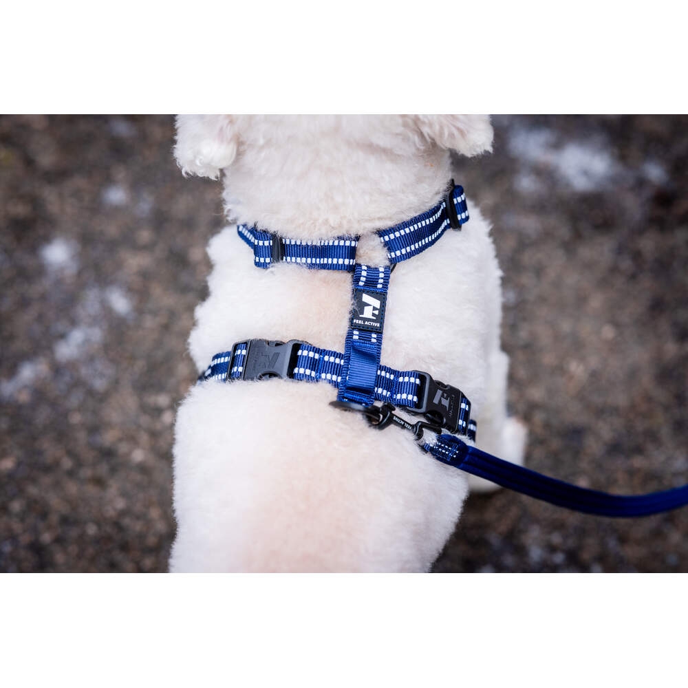 FEEL ACTIVE Padded krūšu siksna suņiem, XXS, zila - Produkta attēls 4