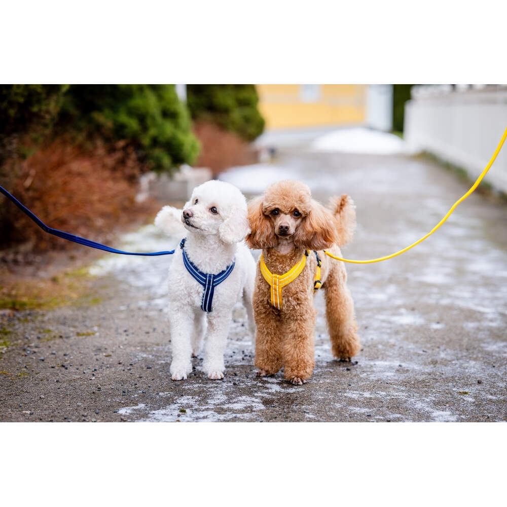 FEEL ACTIVE Padded krūšu siksna suņiem, M, dzeltena - Produkta attēls 4