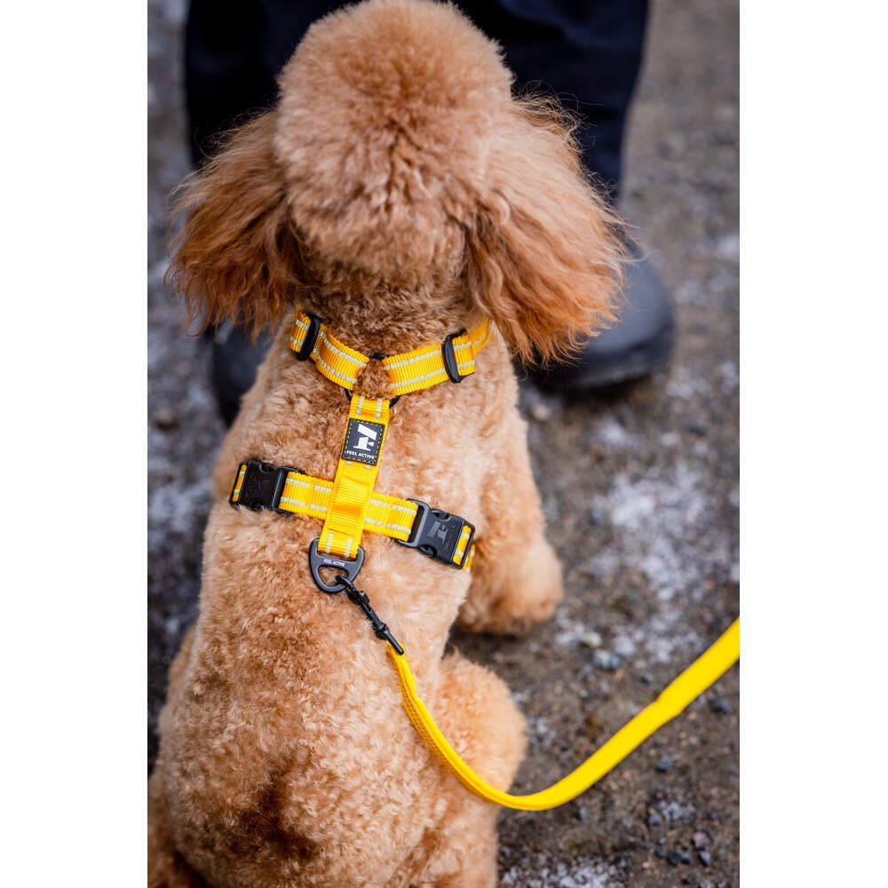 FEEL ACTIVE Padded krūšu siksna suņiem, M, dzeltena - Produkta attēls 3