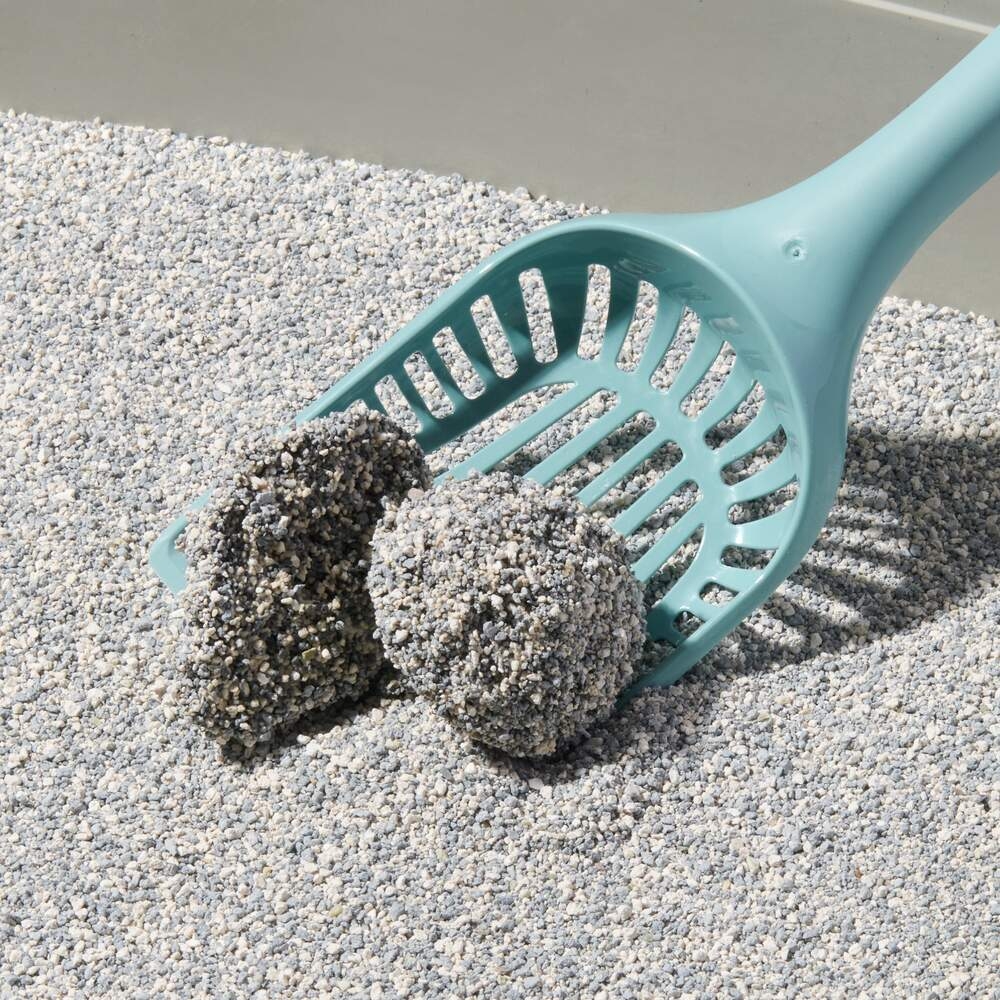 COMPACT CARE Probiotic pakaiši kaķiem, 10l, ziedi - Produkta attēls 2