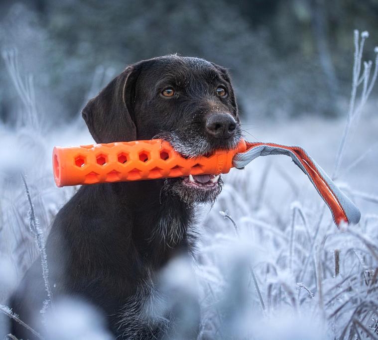 N-GAGE Active Bumper rotaļlieta suņiem, S - Produkta attēls 3