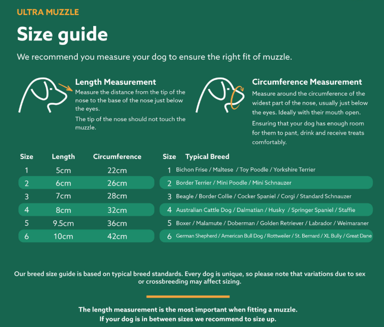 COA Baskerville Ultra uzpurnis, izmērs 1 - Produkta attēls 4