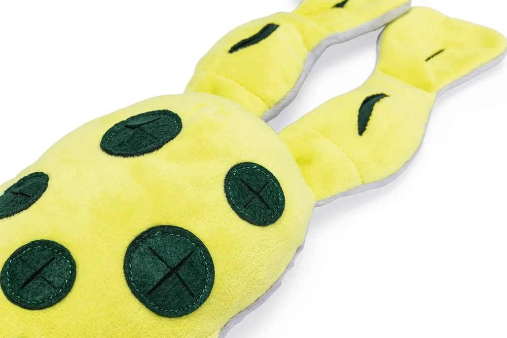 Beeztees Hide and Seek suņu rotaļlieta varde - Produkta attēls 2
