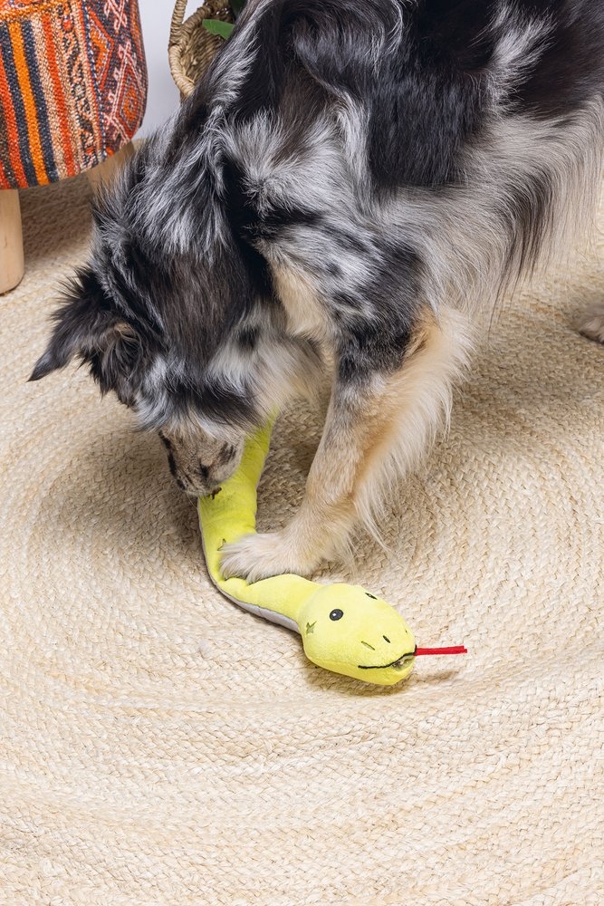 Beeztees Hide and Seek suņu rotaļlieta čūska