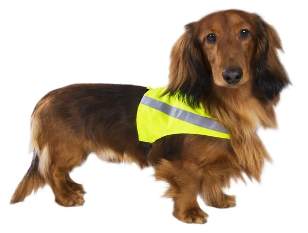 BEST FRIEND Gear veste suņiem, L - Produkta attēls 4