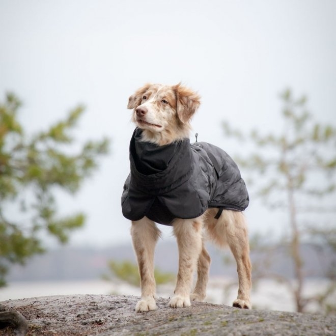 FEEL ACTIVE Haga jaka suņiem, 55cm, melna - Produkta attēls 2