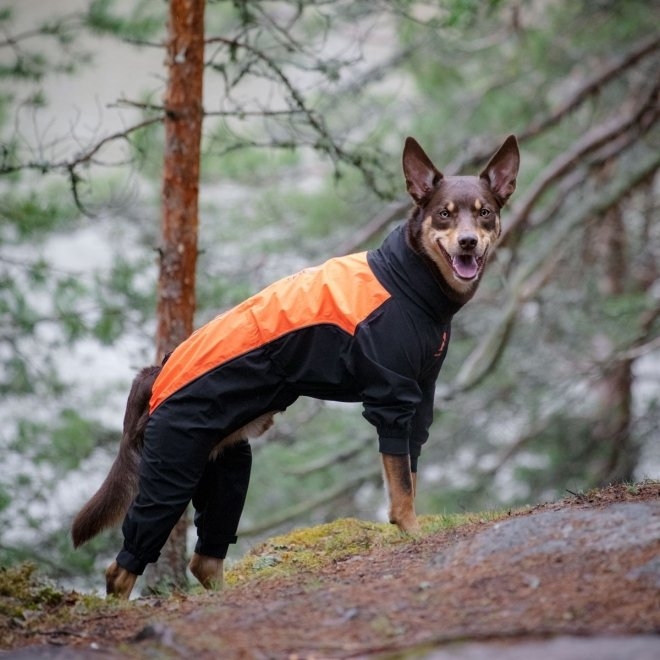 FEEL ACTIVE Helsingborg kombinezons suņiem, 25,melns/oranžs - Produkta attēls 2
