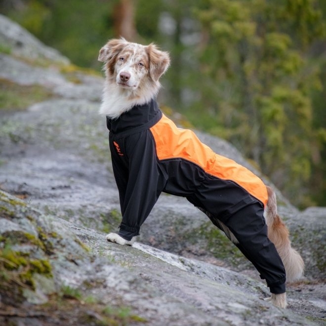 FEEL ACTIVE Helsingborg kombinezons suņiem, 50,melns/oranžs - Produkta attēls 3