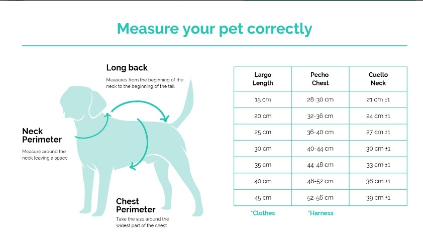 FREEDOG Flash jaka suņiem, 40cm, pelēka - Produkta attēls 2
